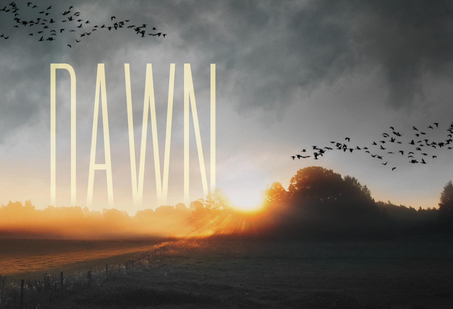Dawn Album Cover