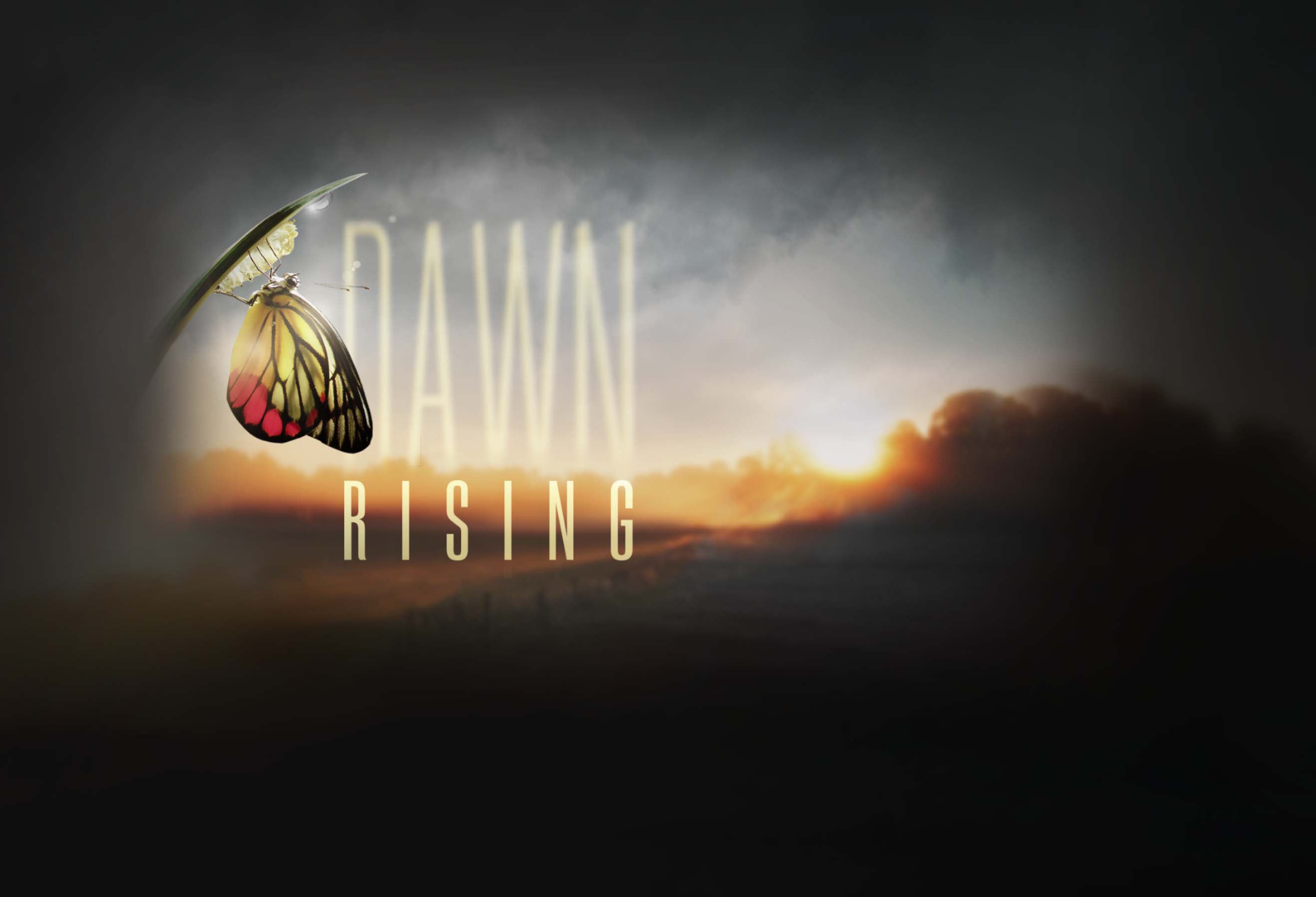 DAWN: Rising