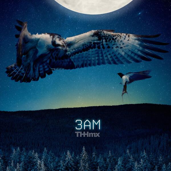 3AM - The Hit House Score