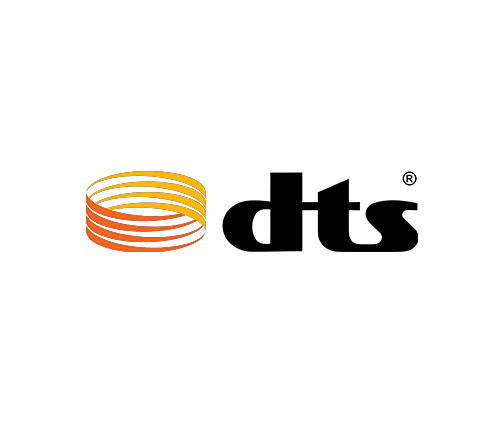 dts logo - The Hit House Branding