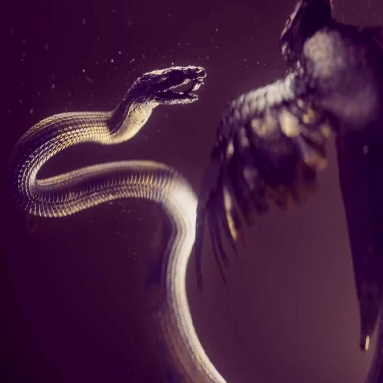 The Hunger Games: Sunrise on the Reaping | Lionsgate - The Hit House Work